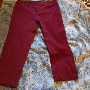 Burgundy Pencil leg pants !!!